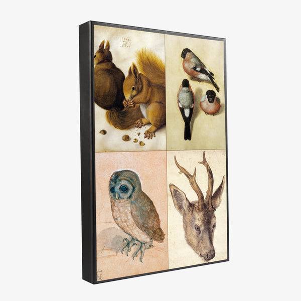 Musearta Albrecht Dürer - Tiermotive - Geschenkset Preisnachlass