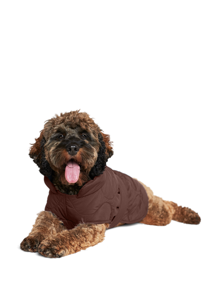 Riani HUNDEMANTEL Neuheiten