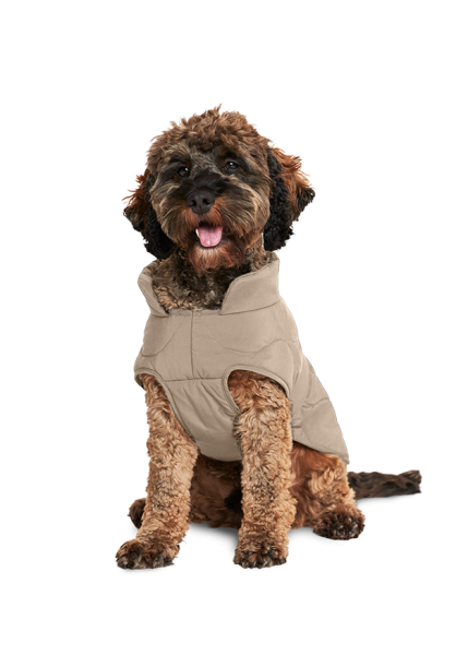 Riani HUNDEMANTEL Bestseller