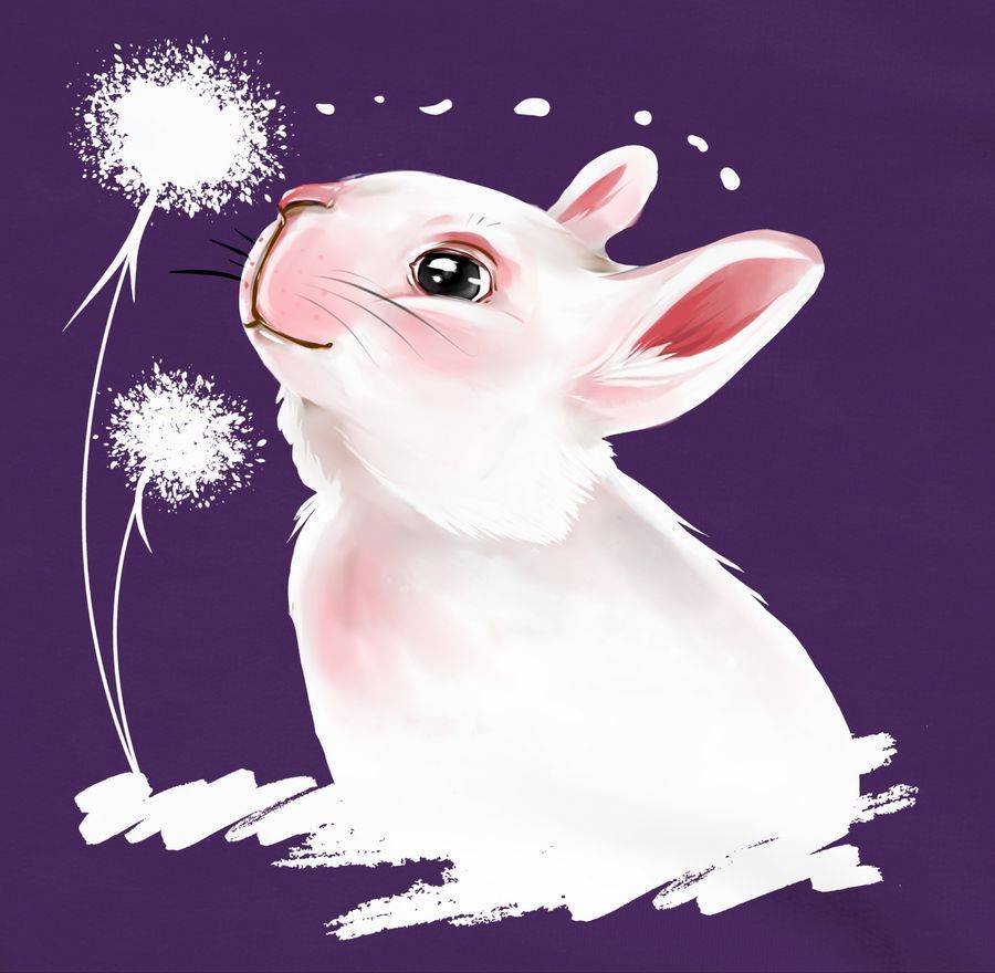 Shirtracer Hase mit Pusteblume: T-Shirt Turnbeutel Shirtracer Fabrikpreis